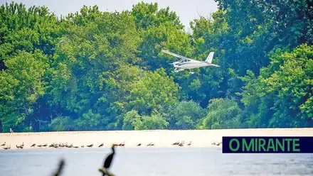 ANAC investiga voos rasantes de avionetas sobre ilhas do Tejo