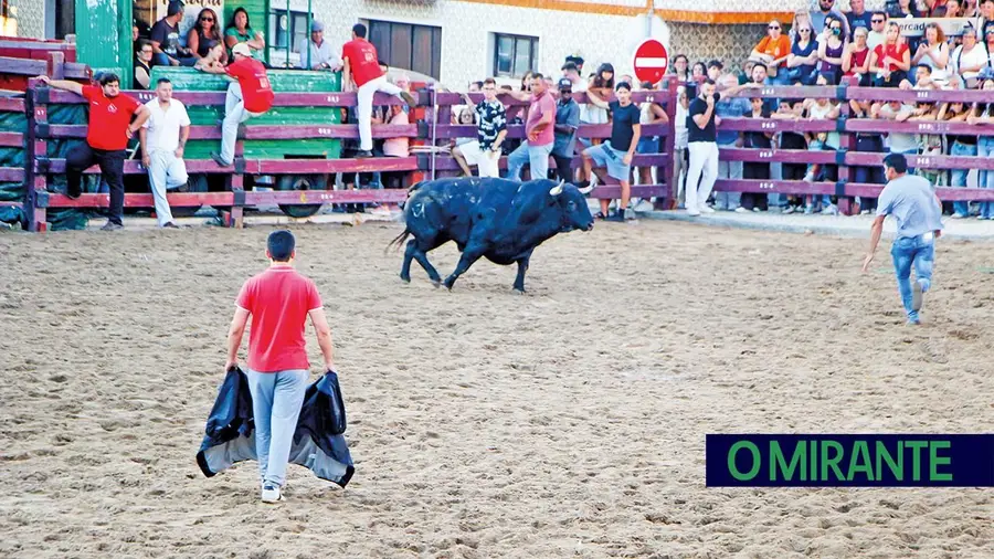 Entradas de toiros voltaram a encher as ruas de Samora Correia