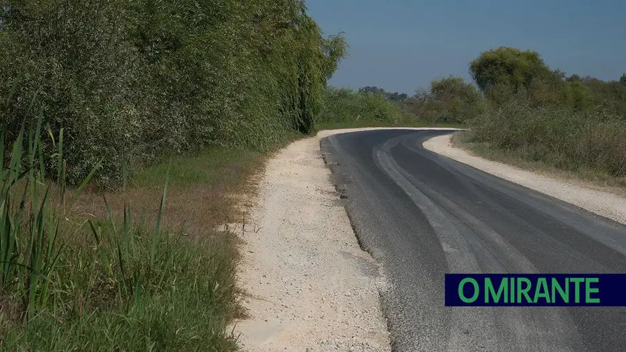 Câmara de Benavente intervém nas bermas da Estrada do Campo