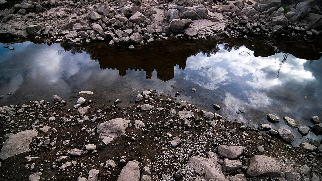 Dia Mundial da Fotografia: As imagens que ficam quando tudo muda