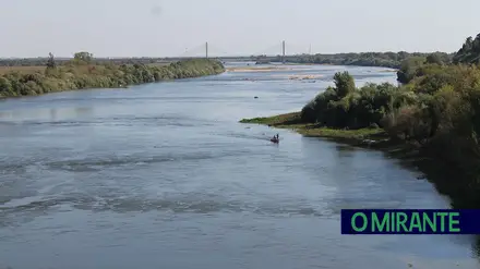 Estado quer remover barreiras mas projecta novas barragens no Tejo