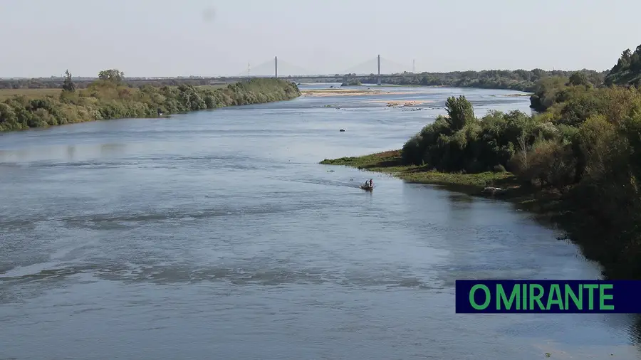 Estado quer remover barreiras mas projecta novas barragens no Tejo
