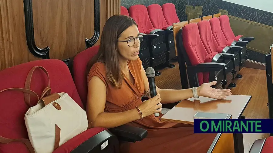 Borrachas já não travam ruído das tampas à passagem dos camiões em Cheganças