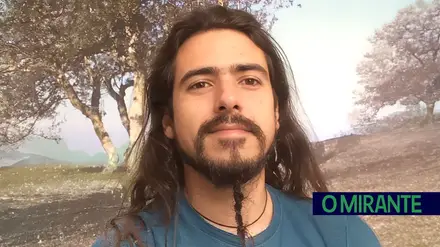 "Um dos problemas na gestão da floresta portuguesa é que ignoramos quase tudo o que não conseguimos transformar diretamente em dinheiro"