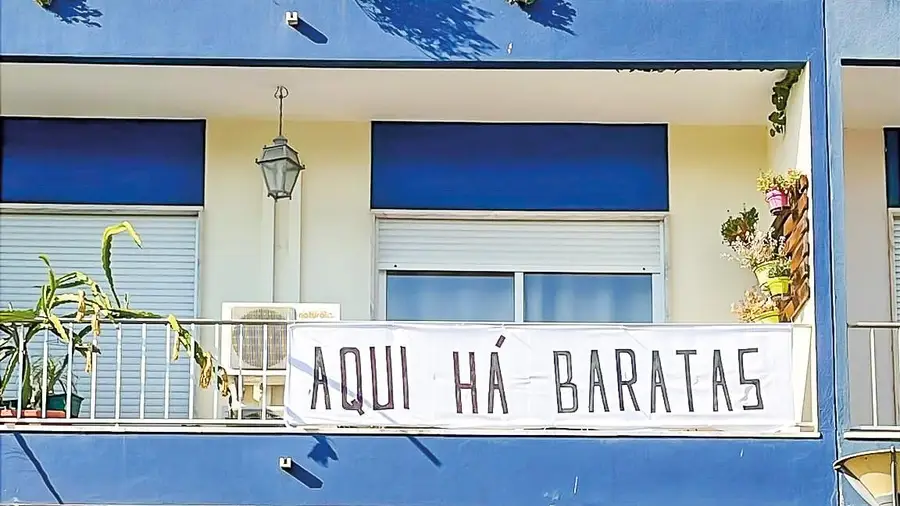 Aqui há baratas