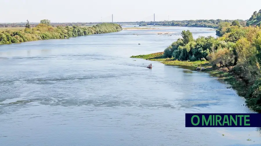 Estado quer remover barreiras mas projecta novas barragens no Tejo