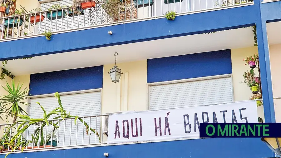 Morador protesta contra proliferação de baratas em Benavente