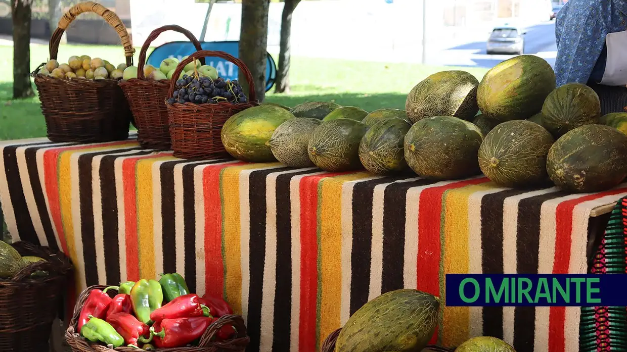 Tradições ribatejanas animaram o Jardim da República em Santarém