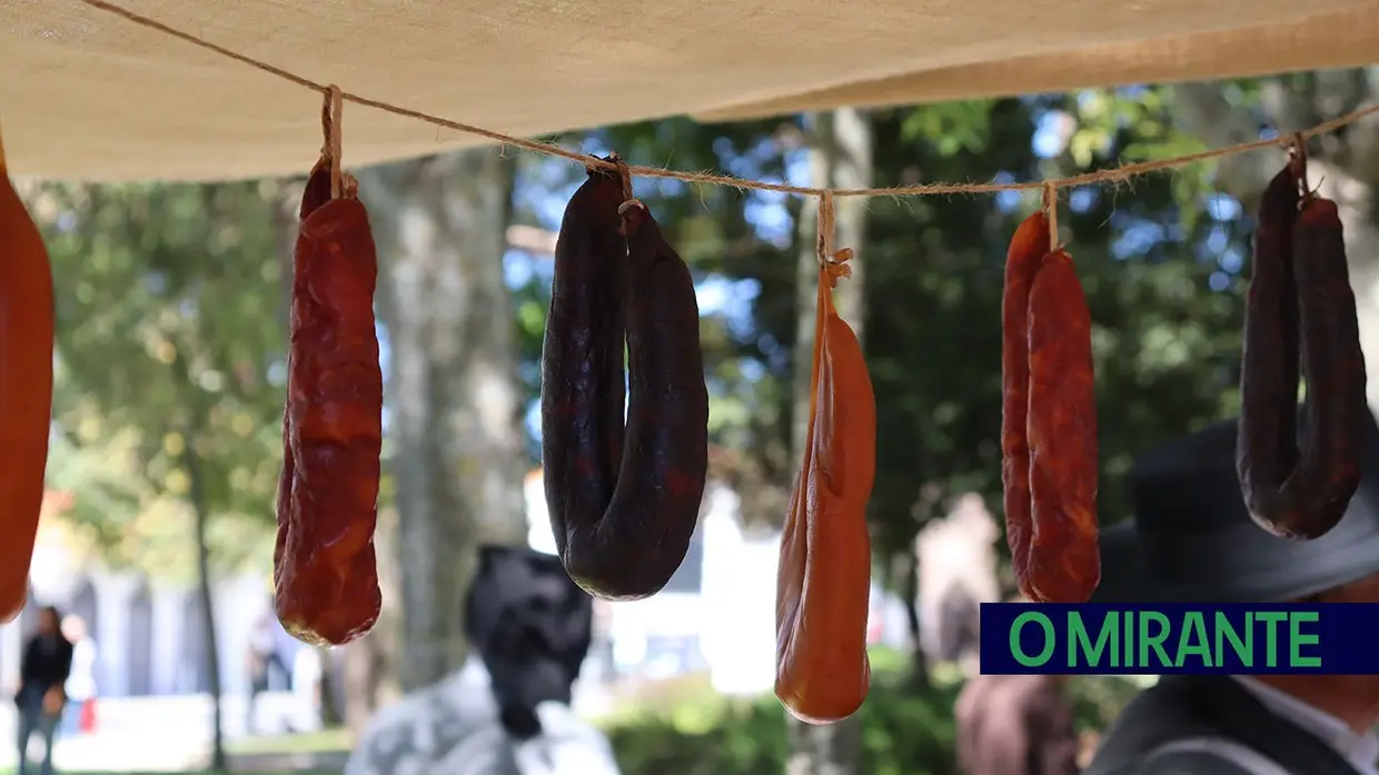 Tradições ribatejanas animaram o Jardim da República em Santarém