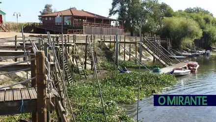 Biblioteca da Chamusca promove visitas ao património de Salvaterra de Magos