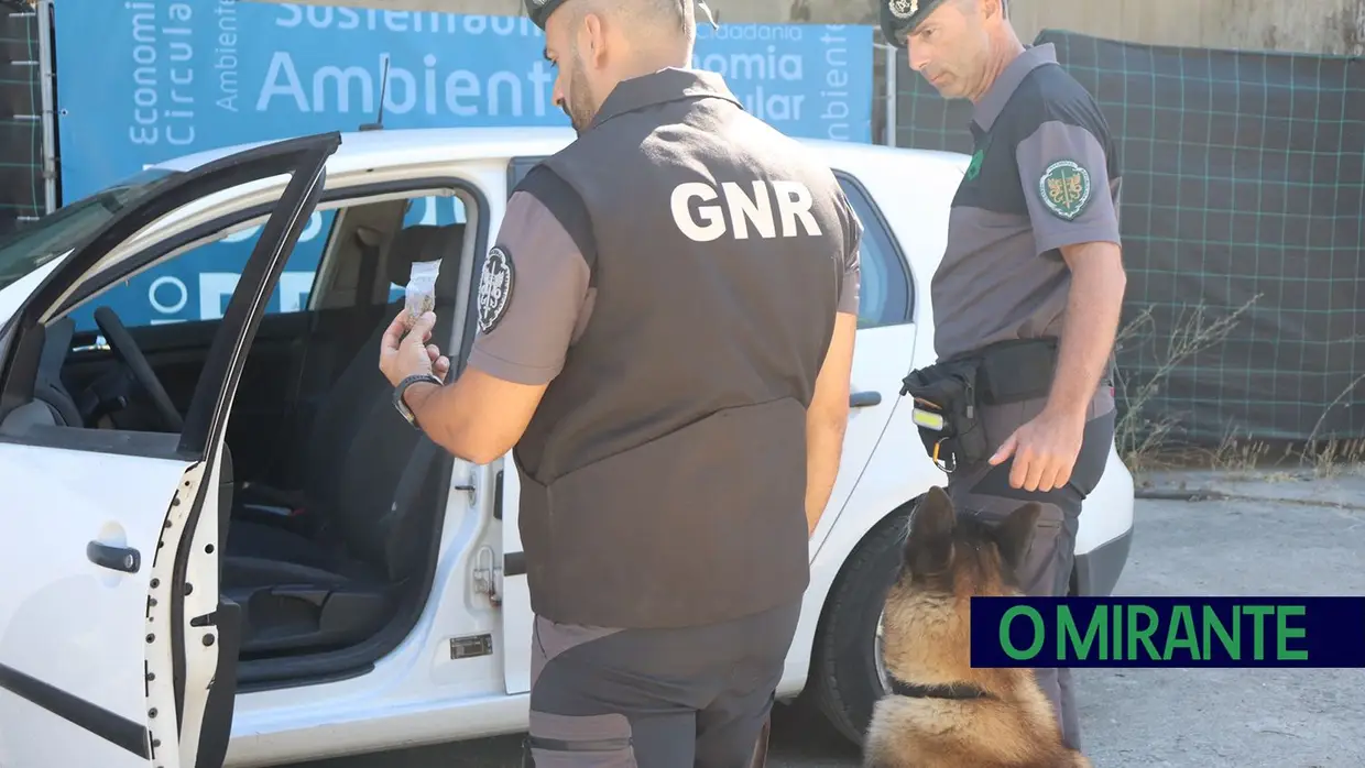 Operacionais de quatro patas com faro e disciplina para missões da GNR