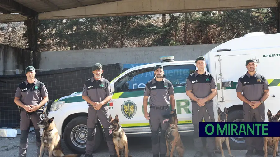 Operacionais de quatro patas com faro e disciplina para missões da GNR