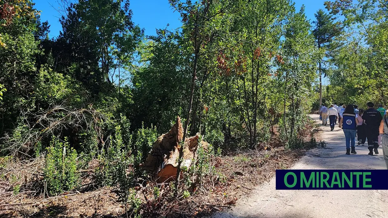 Mata Nacional dos Sete Montes vai reabrir em Outubro
