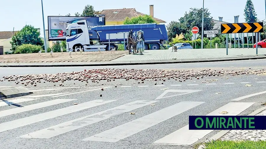 Batatas a murro no Porto Alto