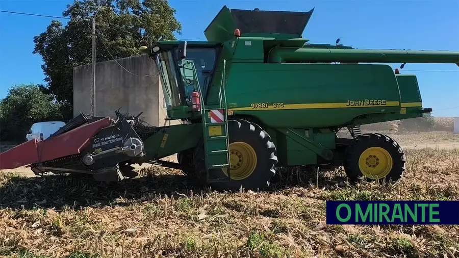 Uma tarde na Chamusca entre o ouro do milho e o pó da terra