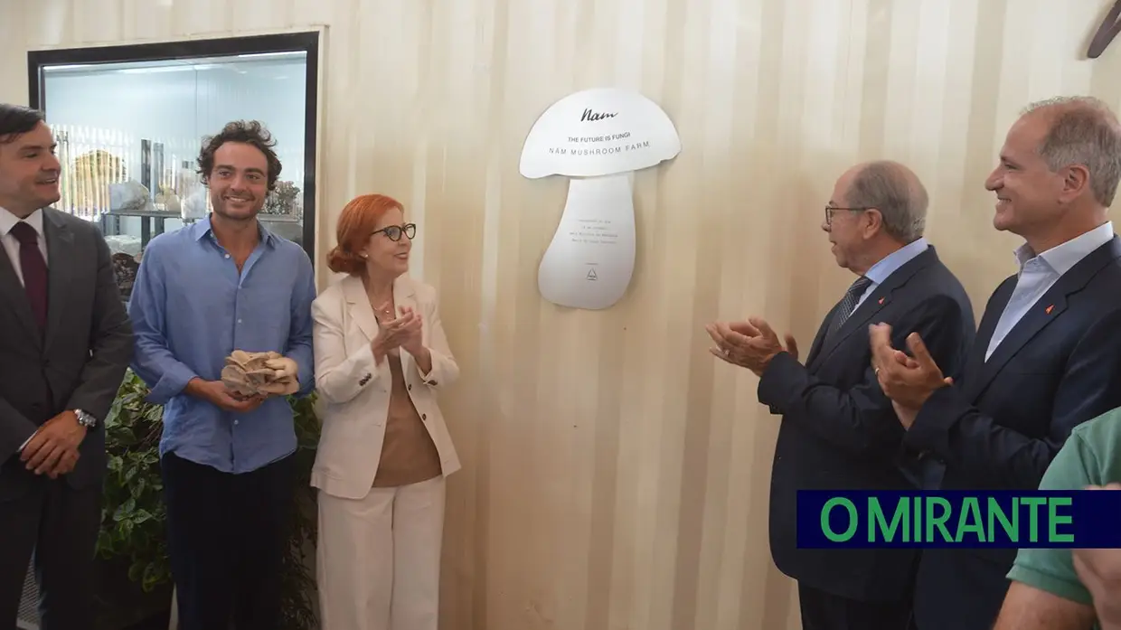 Nova fábrica transforma borras de café Delta em cogumelos