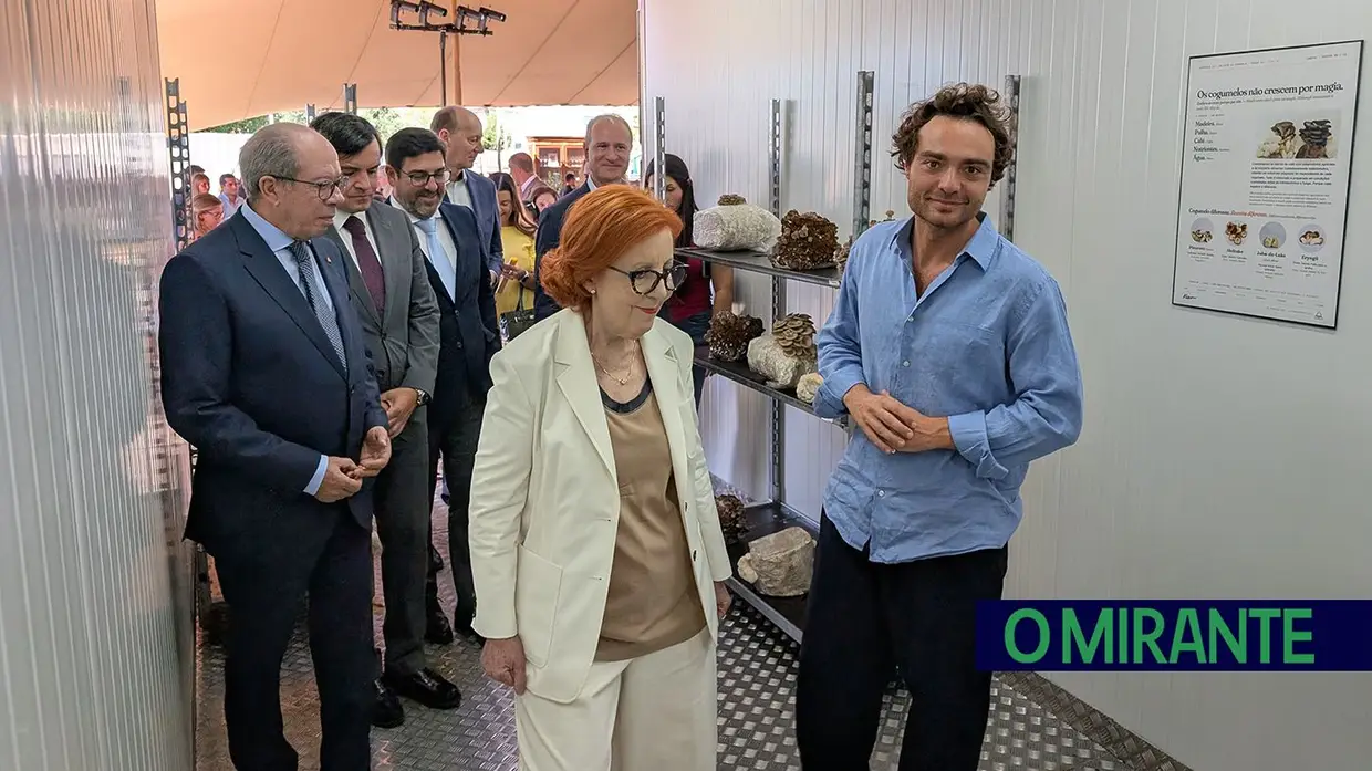 Nova fábrica transforma borras de café Delta em cogumelos