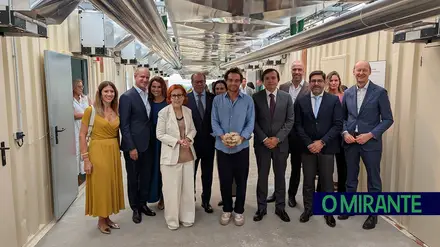 Nova fábrica transforma borras de café Delta em cogumelos