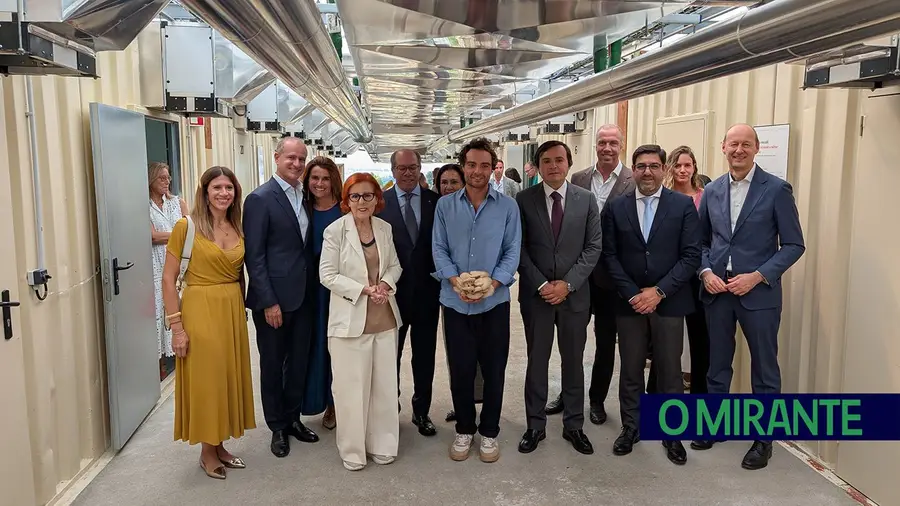 Nova fábrica transforma borras de café Delta em cogumelos