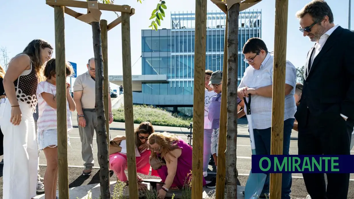 Nove instituições vão criar raízes nos jardins do novo Hospital da Luz Ribatejo