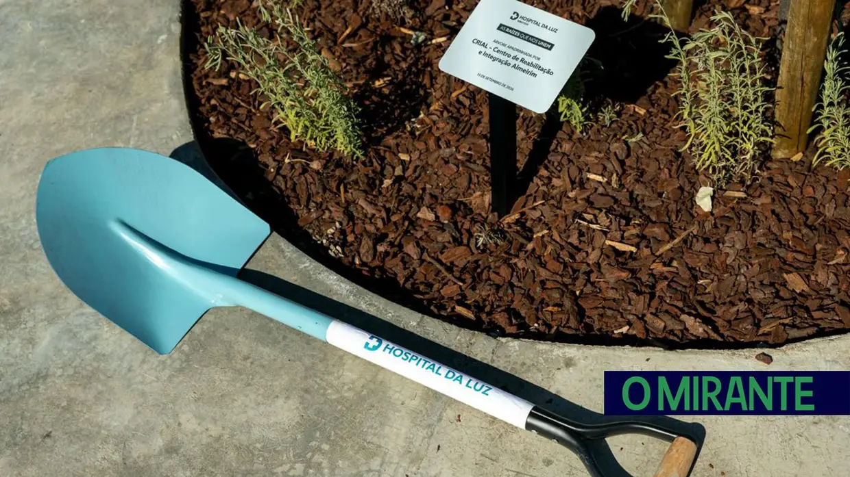 Nove instituições vão criar raízes nos jardins do novo Hospital da Luz Ribatejo
