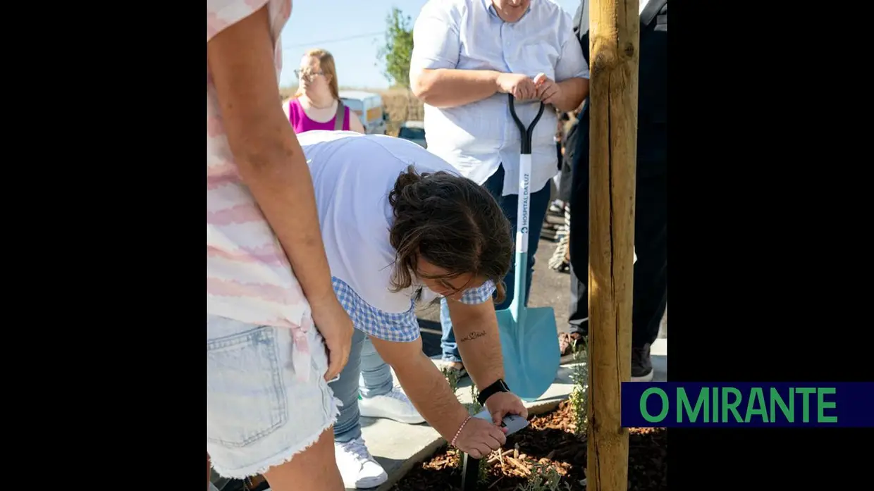 Nove instituições vão criar raízes nos jardins do novo Hospital da Luz Ribatejo