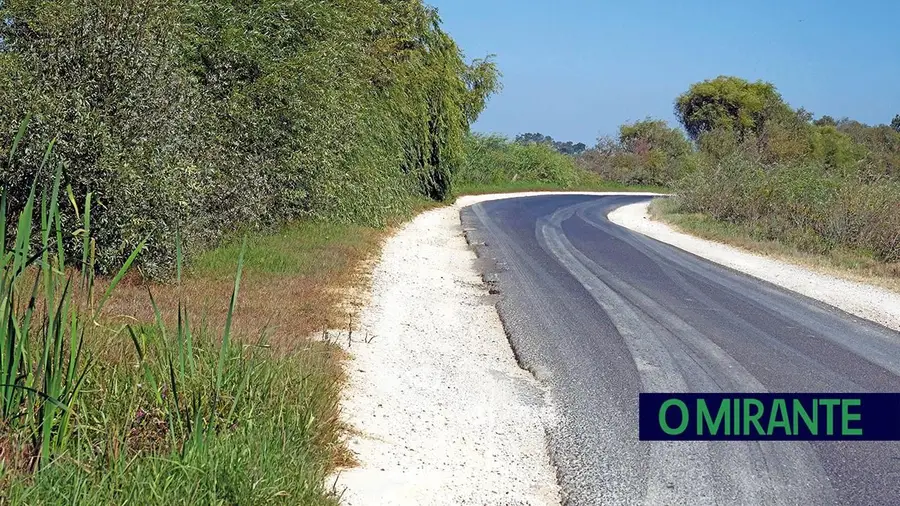 Danificou pneu e jante em estrada municipal no Porto Alto e luta por indemnização