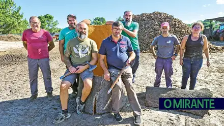 Tiradores de cortiça começam a descascar sobreiros cada vez mais cedo para os proteger do calor
