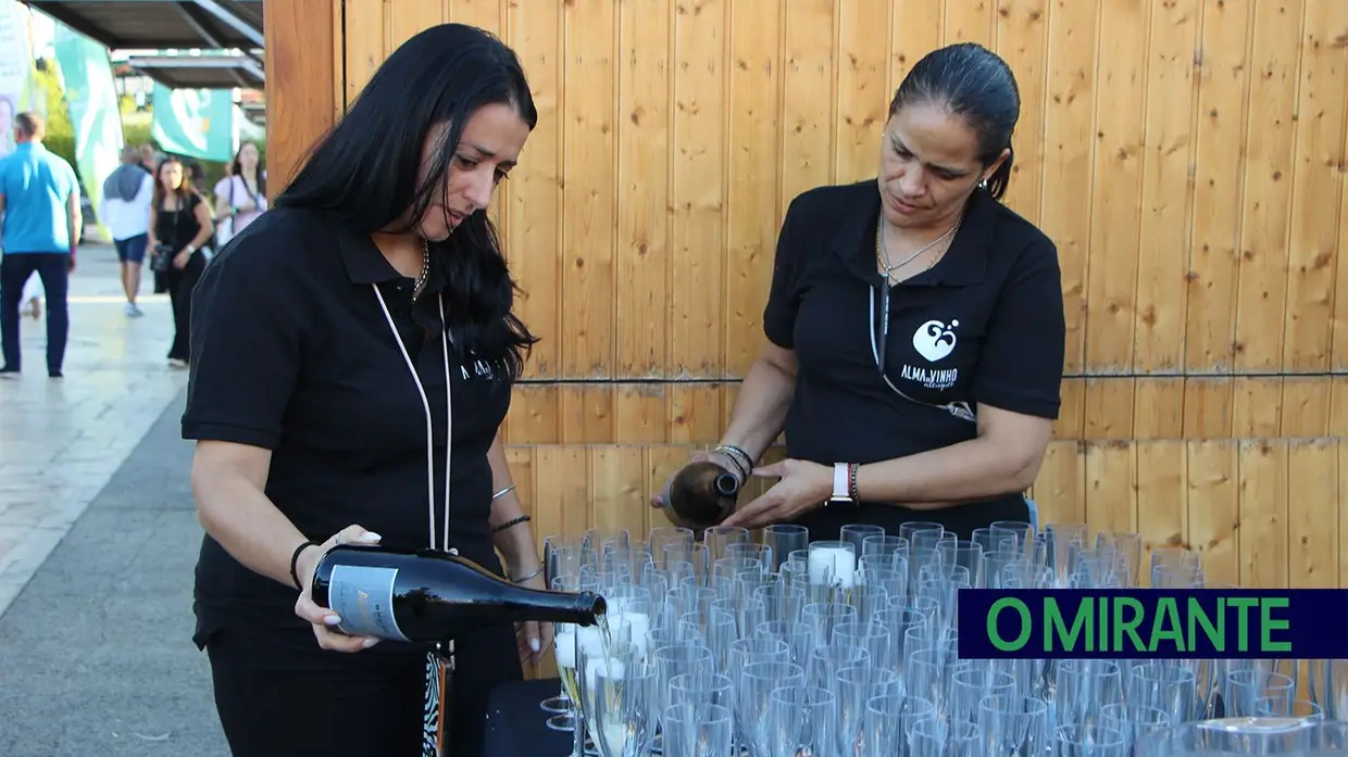 Alma do Vinho junta mais de 35 produtores e 300 vinhos em Alenquer