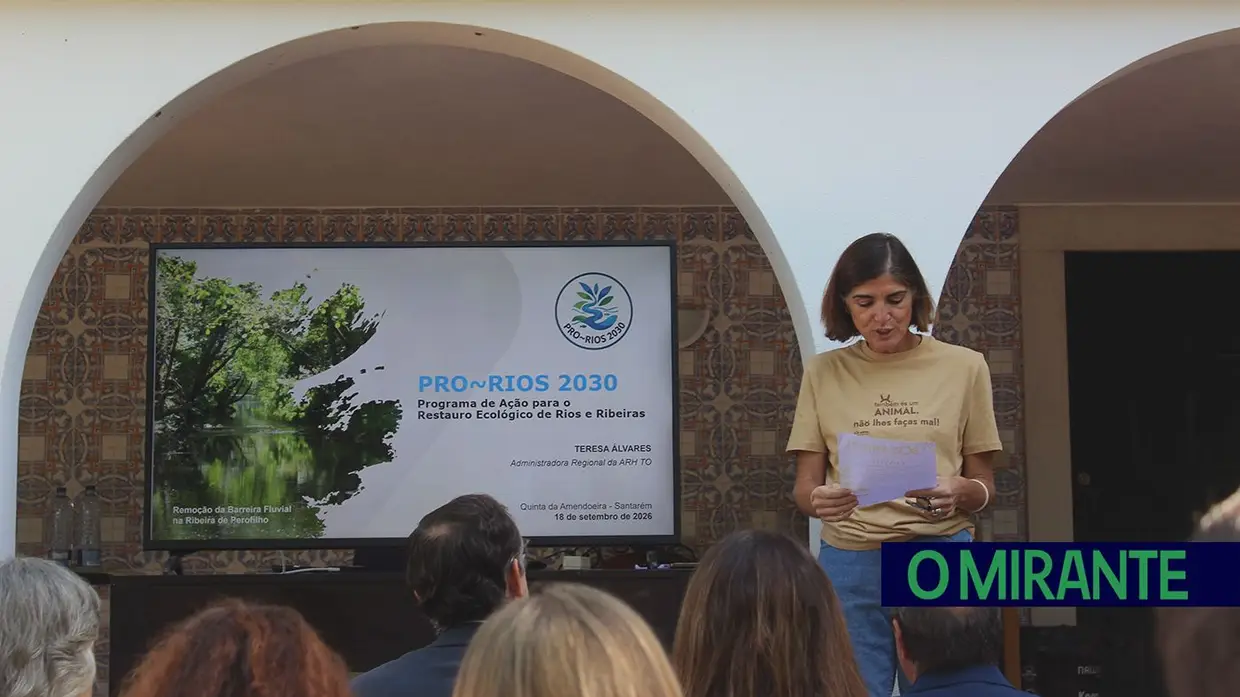 Terceira barreira removida da ribeira de Perofilho para recuperar ecossistema