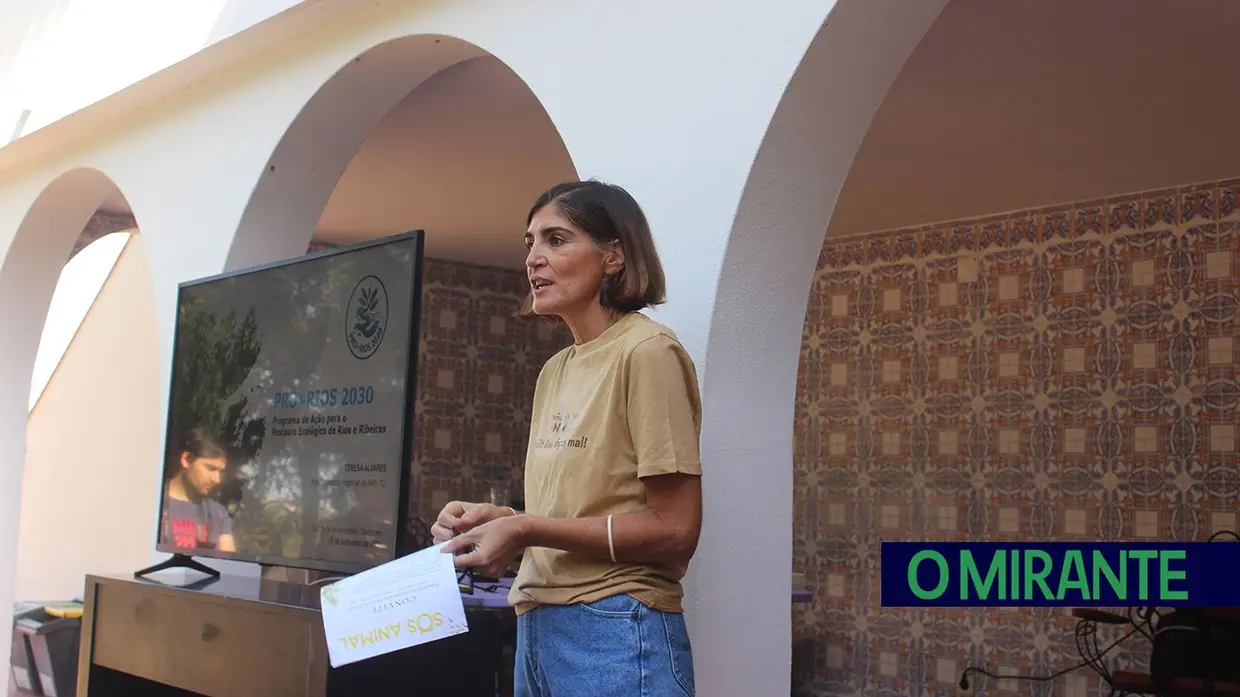 Terceira barreira removida da ribeira de Perofilho para recuperar ecossistema