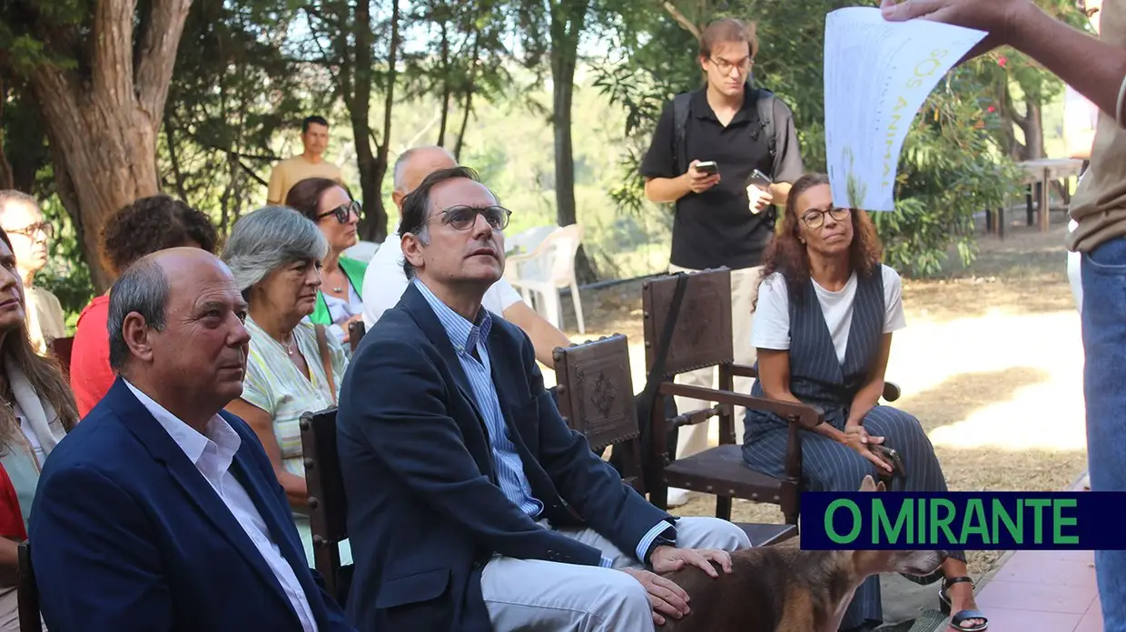 Terceira barreira removida da ribeira de Perofilho para recuperar ecossistema