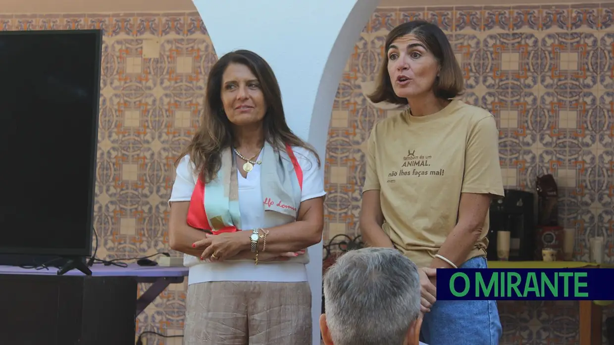 Terceira barreira removida da ribeira de Perofilho para recuperar ecossistema
