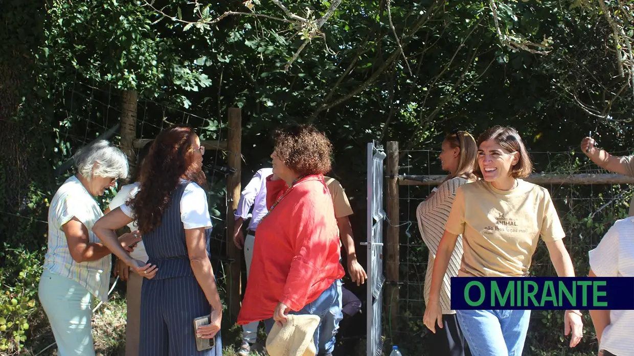 Terceira barreira removida da ribeira de Perofilho para recuperar ecossistema