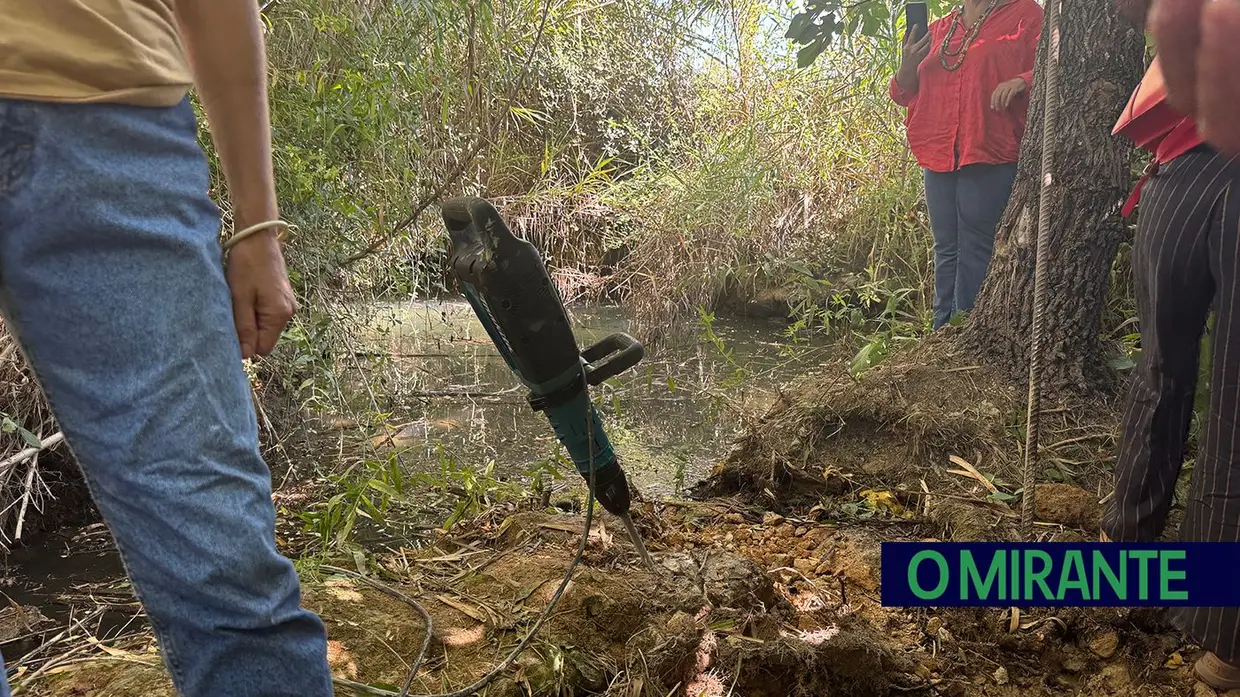 Terceira barreira removida da ribeira de Perofilho para recuperar ecossistema