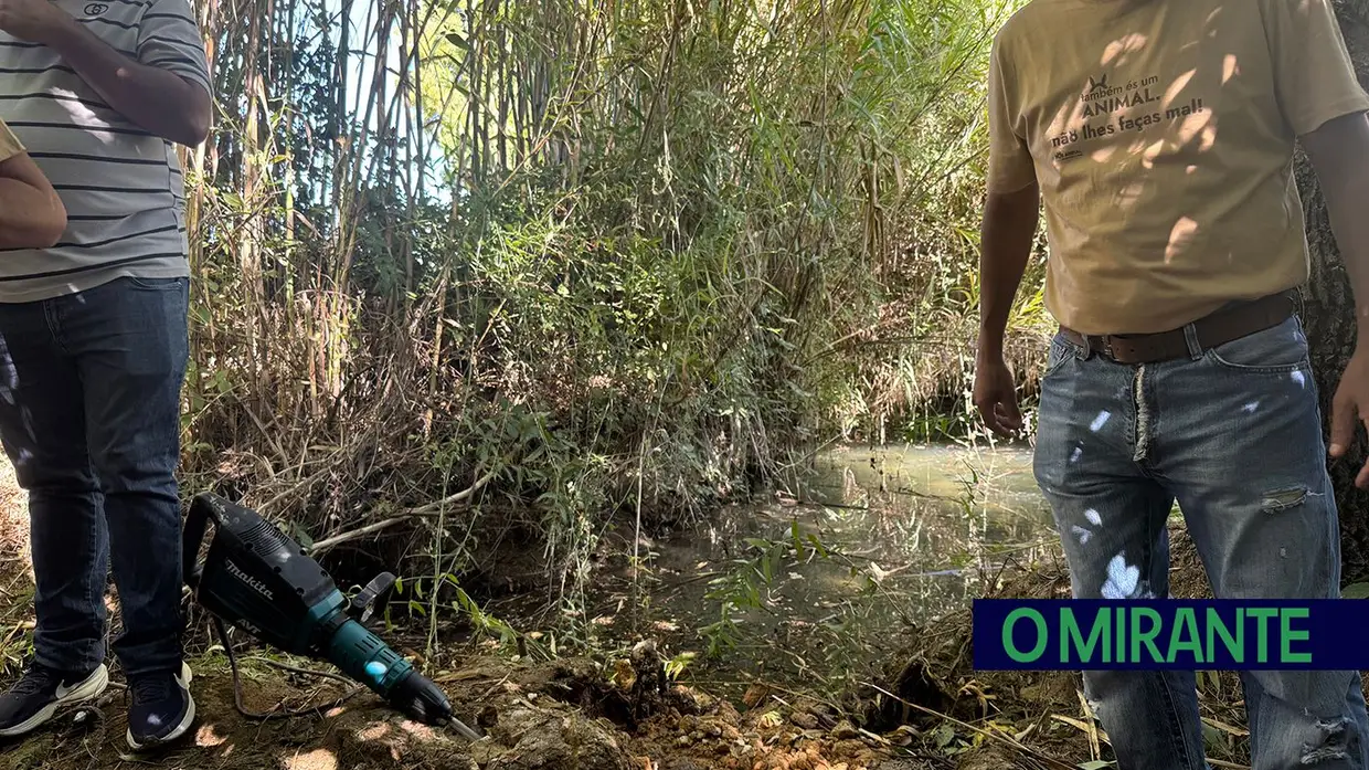 Terceira barreira removida da ribeira de Perofilho para recuperar ecossistema