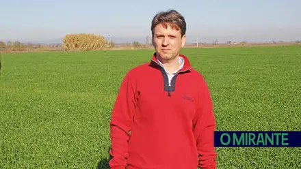 Tecnologia transforma agricultura mas experiência continua a mandar no campo