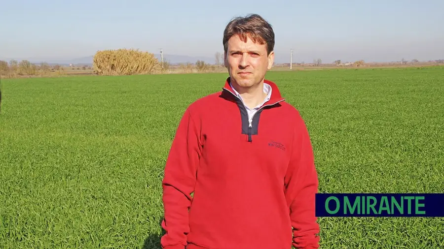 Tecnologia transforma agricultura mas experiência continua a mandar no campo