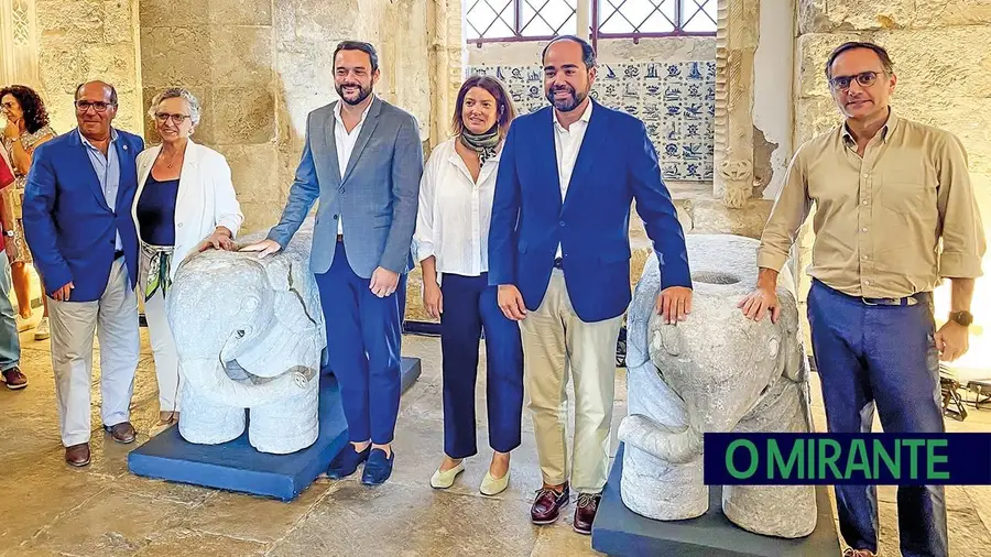 Casa cheia para assistir ao regresso dos elefantes a São João do Alporão
