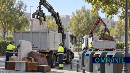 Benavente vai adquirir duas viaturas para recolha de monos