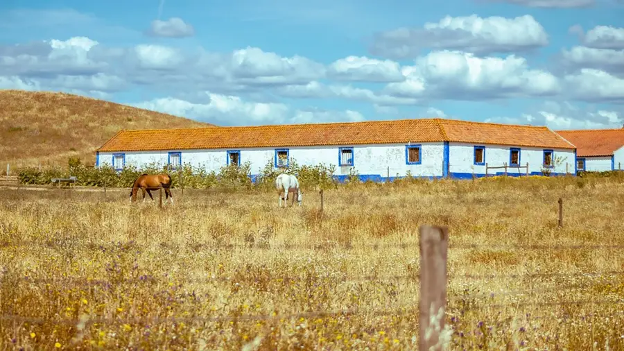 Casas velhas, vidas novas: Portugal volta a olhar para fora das cidades