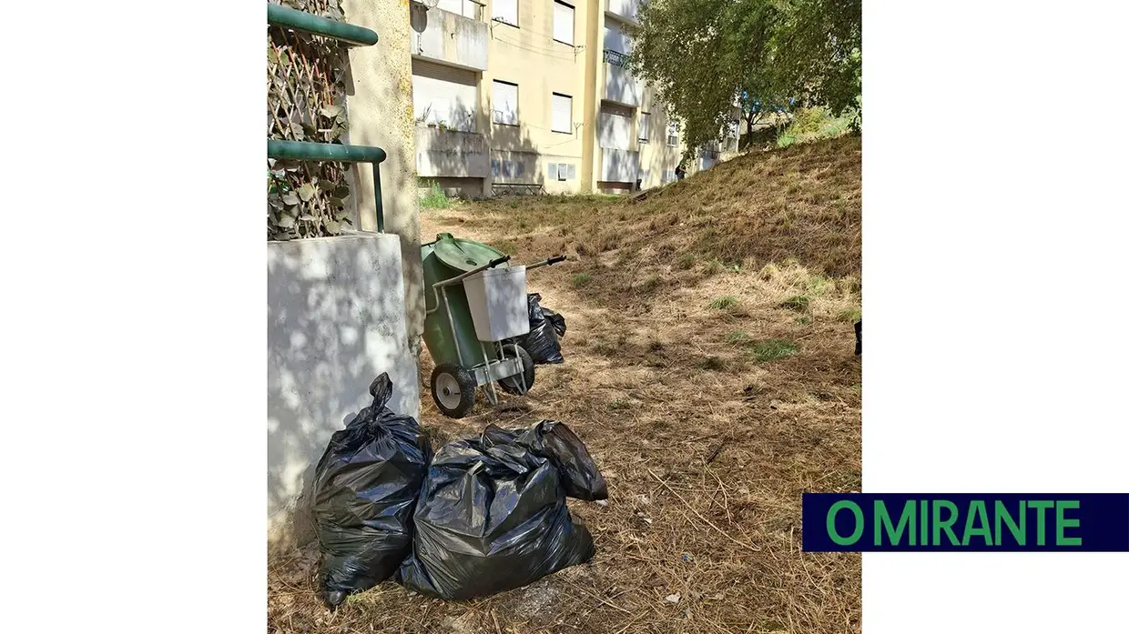 Voluntários limpam lixo no Bairro do Girão em Santarém