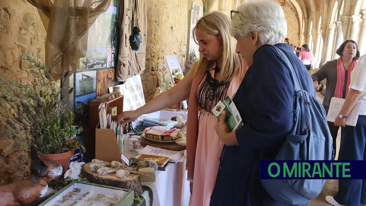 Santarém acolheu mulheres de todo o país que transformam e preservam os territórios