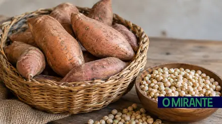 batata doce chícharo gancaria ilustrativ