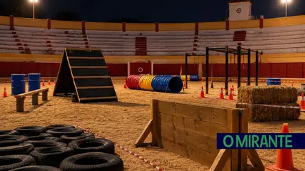 Cartaxo põe freguesias à prova nos Jogos Sem Fronteiras