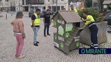 Rio Maior instala abrigos para gatos de rua