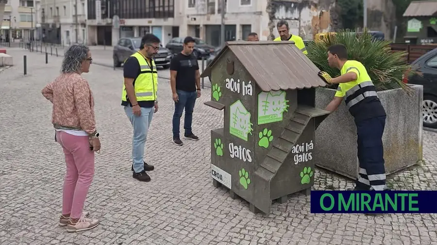 Rio Maior instala abrigos para gatos de rua