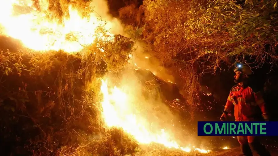 Galiza e Norte de Portugal procuram no passado soluções para os problemas futuros com os incêndios e o eucalipto