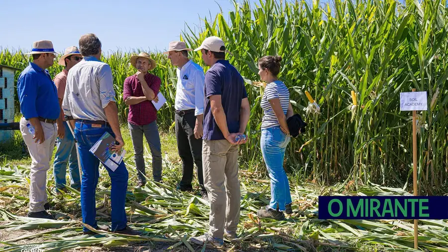 Agricultores de Coruche juntam-se à CAP na exigência de mais apoios