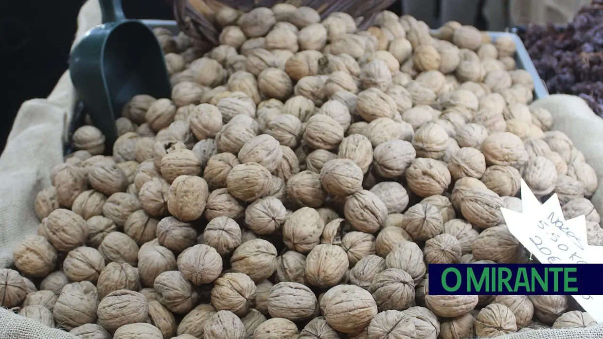 Feira Nacional dos Frutos Secos está de volta em Torres Novas